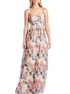 NWT SACHIN + BABI Sienna Floral Chiffon Sweetheart Neckline Gown Size 2